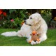 Petface Farmyard Buddies Chunky Chicken Dog Toy Petface Farmyard Buddies Chunky Chicken Dog Toy