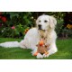 Petface Farmyard Buddies Chunky Chicken Dog Toy Petface Farmyard Buddies Chunky Chicken Dog Toy