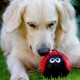 Petface Farmyard Buddies Hetty the Highland Cow Plush Dog Toy Petface Farmyard Buddies Hetty the Highland Cow Plush Dog Toy