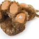 Petface Farmyard Buddies Hetty the Highland Cow Plush Dog Toy Petface Farmyard Buddies Hetty the Highland Cow Plush Dog Toy