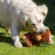 Petface Farmyard Buddies Hetty the Highland Cow Plush Dog Toy Petface Farmyard Buddies Hetty the Highland Cow Plush Dog Toy