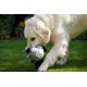Petface Farmyard Buddies Noodle Donkey Dog Toy