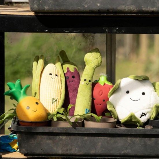 Petface Foodie Faces Plush Dog Toy Cauliflower Petface Foodie Faces Plush Dog Toy Cauliflower