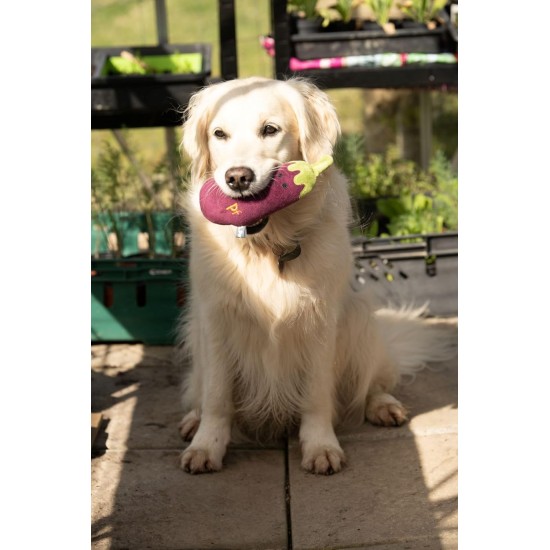 Petface Foodie Faces Plush Dog Toy Cauliflower Petface Foodie Faces Plush Dog Toy Cauliflower