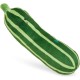 Petface Honking Duck Dog Toy