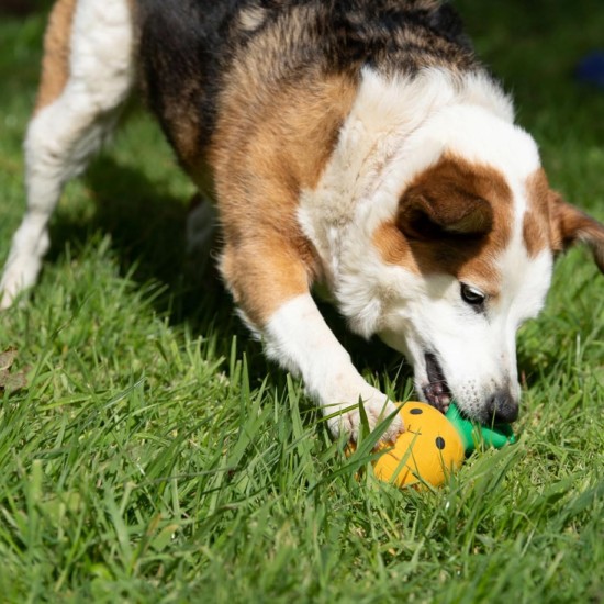 Petface Honking Duck Dog Toy Petface Honking Duck Dog Toy