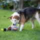 Petface Honking Duck Dog Toy