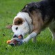 Petface Honking Duck Dog Toy