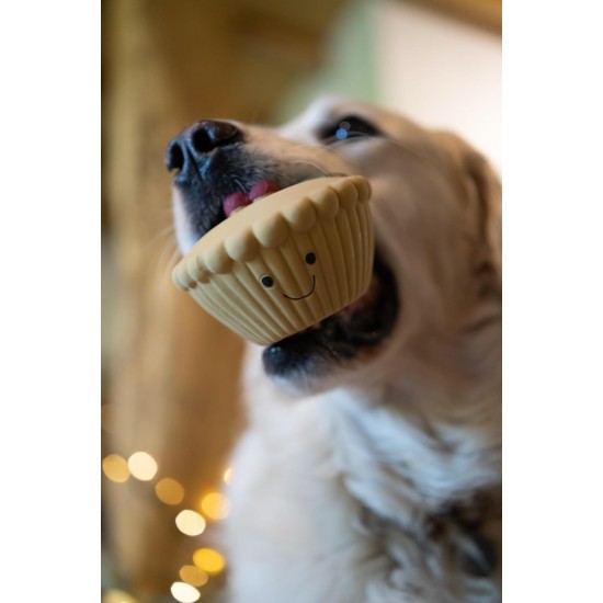 Petface Ivy Ice Skate Plush Dog Toy with Integrated Squeaker Petface Ivy Ice Skate Plush Dog Toy with Integrated Squeaker