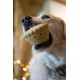 Petface Ivy Ice Skate Plush Dog Toy with Integrated Squeaker Petface Ivy Ice Skate Plush Dog Toy with Integrated Squeaker