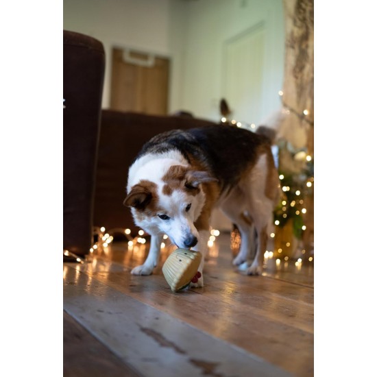 Petface Ivy Ice Skate Plush Dog Toy with Integrated Squeaker Petface Ivy Ice Skate Plush Dog Toy with Integrated Squeaker