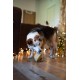 Petface Ivy Ice Skate Plush Dog Toy with Integrated Squeaker Petface Ivy Ice Skate Plush Dog Toy with Integrated Squeaker