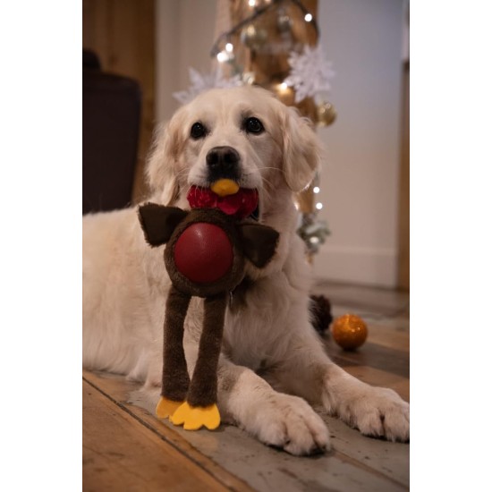Petface Ivy Ice Skate Plush Dog Toy with Integrated Squeaker Petface Ivy Ice Skate Plush Dog Toy with Integrated Squeaker
