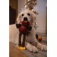 Petface Ivy Ice Skate Plush Dog Toy with Integrated Squeaker Petface Ivy Ice Skate Plush Dog Toy with Integrated Squeaker