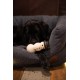 Petface Ivy Ice Skate Plush Dog Toy with Integrated Squeaker Petface Ivy Ice Skate Plush Dog Toy with Integrated Squeaker