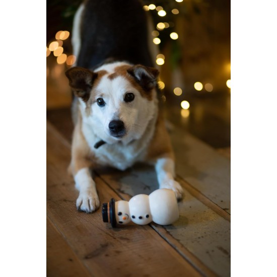 Petface Ivy Ice Skate Plush Dog Toy with Integrated Squeaker Petface Ivy Ice Skate Plush Dog Toy with Integrated Squeaker