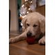 Petface Ivy Ice Skate Plush Dog Toy with Integrated Squeaker Petface Ivy Ice Skate Plush Dog Toy with Integrated Squeaker