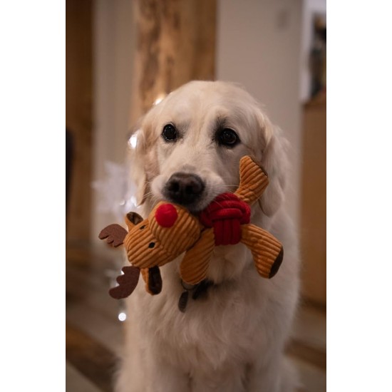 Petface Ivy Ice Skate Plush Dog Toy with Integrated Squeaker Petface Ivy Ice Skate Plush Dog Toy with Integrated Squeaker
