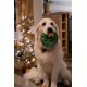 Petface Ivy Ice Skate Plush Dog Toy with Integrated Squeaker Petface Ivy Ice Skate Plush Dog Toy with Integrated Squeaker