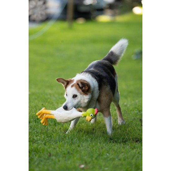 Petface Latex Chicken Dog Toy, Large Petface Latex Chicken Dog Toy, Large