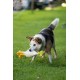 Petface Latex Chicken Dog Toy, Large Petface Latex Chicken Dog Toy, Large
