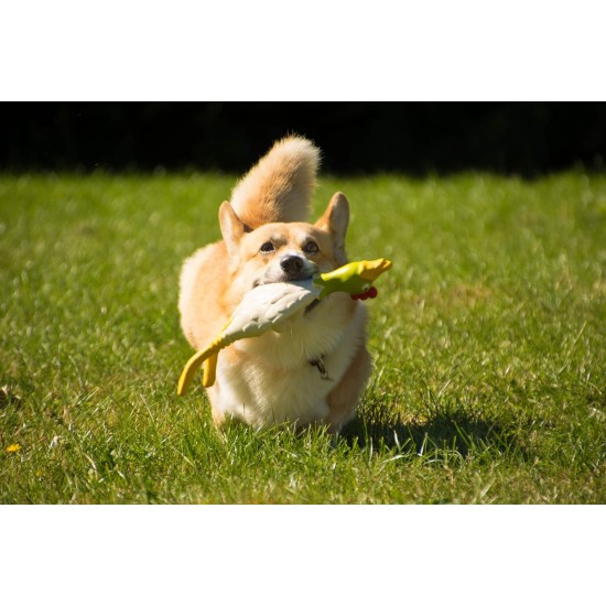 Petface Latex Chicken Dog Toy, Large Petface Latex Chicken Dog Toy, Large