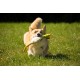 Petface Latex Chicken Dog Toy, Large Petface Latex Chicken Dog Toy, Large