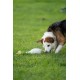 Petface Latex Chicken Dog Toy, Large Petface Latex Chicken Dog Toy, Large