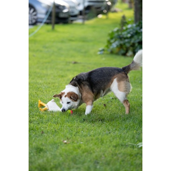 Petface Latex Chicken Dog Toy, Large Petface Latex Chicken Dog Toy, Large