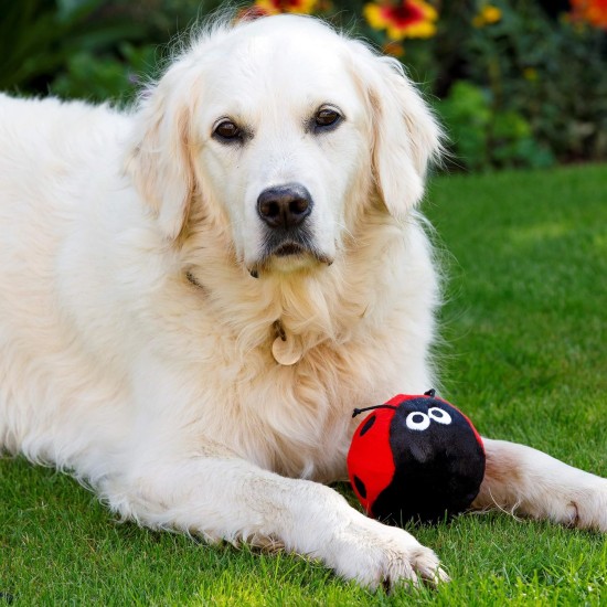 Petface Lindy The Ladybird Plush Dog Toy Petface Lindy The Ladybird Plush Dog Toy