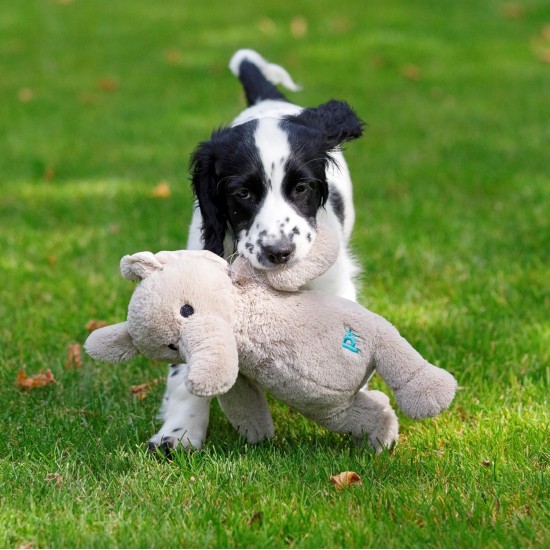 Petface (Little Betty Elephant Plush Puppy Dog Toy Petface (Little Betty Elephant Plush Puppy Dog Toy