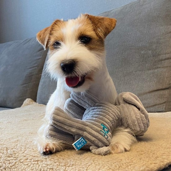 Petface (Little Betty Elephant Plush Puppy Dog Toy Petface (Little Betty Elephant Plush Puppy Dog Toy