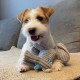 Petface (Little Betty Elephant Plush Puppy Dog Toy Petface (Little Betty Elephant Plush Puppy Dog Toy