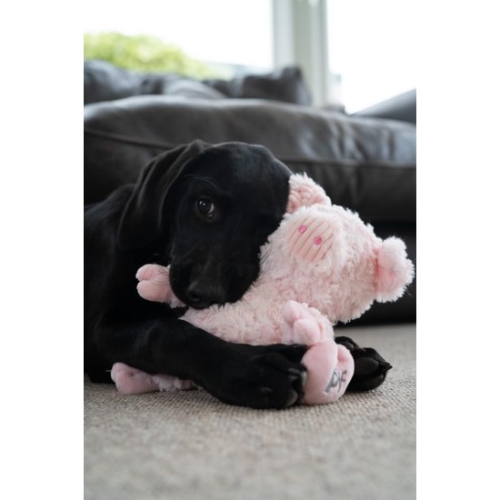 Petface (Little Peony Pig Plush Dog Toy (Pack of 1) Petface (Little Peony Pig Plush Dog Toy (Pack of 1)