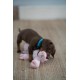 Petface (Little Peony Pig Plush Dog Toy (Pack of 1) Petface (Little Peony Pig Plush Dog Toy (Pack of 1)