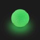 Petface Outdoor Paws Glow in the Dark Silicone Frisbee Dog Toy, 17.5 cm (Pack of 1) Petface Outdoor Paws Glow in the Dark Silicone Frisbee Dog Toy, 17.5 cm (Pack of 1)