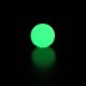 Petface Outdoor Paws Glow in the Dark Silicone Frisbee Dog Toy, 17.5 cm (Pack of 1) Petface Outdoor Paws Glow in the Dark Silicone Frisbee Dog Toy, 17.5 cm (Pack of 1)