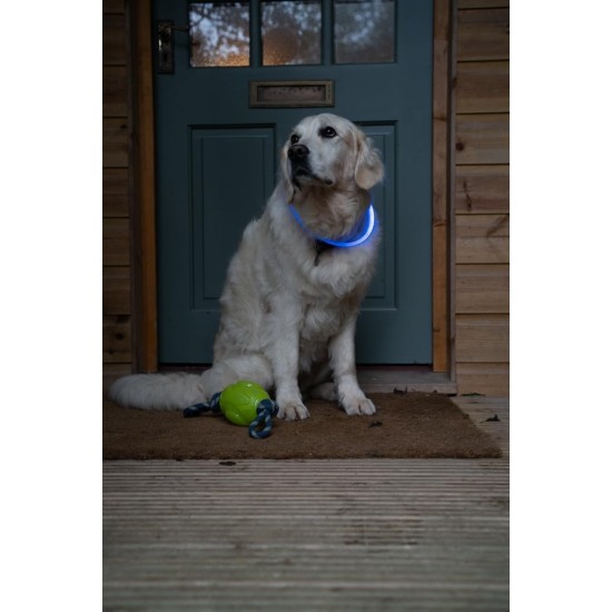 Petface Outdoor Paws Glow in the Dark Silicone Frisbee Dog Toy, 17.5 cm (Pack of 1) Petface Outdoor Paws Glow in the Dark Silicone Frisbee Dog Toy, 17.5 cm (Pack of 1)