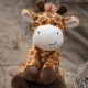 Petface Planet Carlos the Crocodile Eco-Friendly Plush Dog Toy Made from Recycled Plastic Bottles Petface Planet Carlos the Crocodile Eco-Friendly Plush Dog Toy Made from Recycled Plastic Bottles
