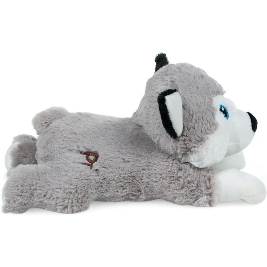 Petface Planet Carlos the Crocodile Eco-Friendly Plush Dog Toy Made from Recycled Plastic Bottles Petface Planet Carlos the Crocodile Eco-Friendly Plush Dog Toy Made from Recycled Plastic Bottles