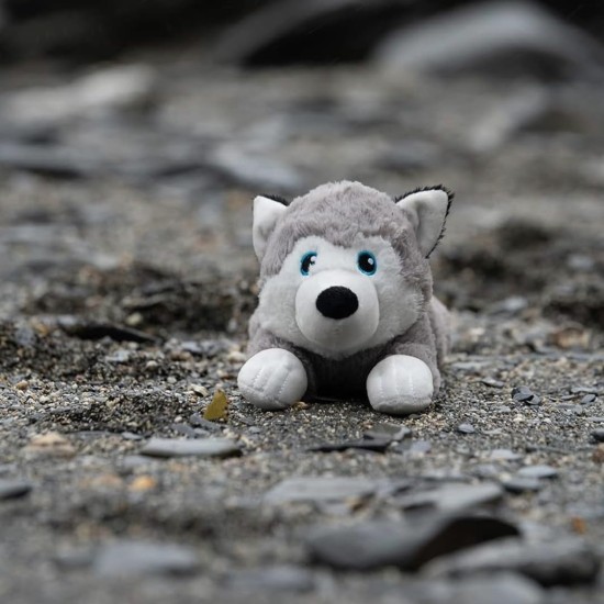 Petface Planet Carlos the Crocodile Eco-Friendly Plush Dog Toy Made from Recycled Plastic Bottles Petface Planet Carlos the Crocodile Eco-Friendly Plush Dog Toy Made from Recycled Plastic Bottles