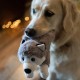 Petface Planet Carlos the Crocodile Eco-Friendly Plush Dog Toy Made from Recycled Plastic Bottles Petface Planet Carlos the Crocodile Eco-Friendly Plush Dog Toy Made from Recycled Plastic Bottles