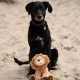 Petface Planet Carlos the Crocodile Eco-Friendly Plush Dog Toy Made from Recycled Plastic Bottles Petface Planet Carlos the Crocodile Eco-Friendly Plush Dog Toy Made from Recycled Plastic Bottles