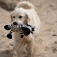 Petface Planet Carlos the Crocodile Eco-Friendly Plush Dog Toy Made from Recycled Plastic Bottles Petface Planet Carlos the Crocodile Eco-Friendly Plush Dog Toy Made from Recycled Plastic Bottles