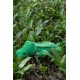 Petface Planet Carlos the Crocodile Eco-Friendly Plush Dog Toy Made from Recycled Plastic Bottles Petface Planet Carlos the Crocodile Eco-Friendly Plush Dog Toy Made from Recycled Plastic Bottles