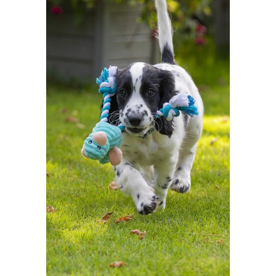 Petface Plush Toy for Dogs and Puppies Lion Petface Plush Toy for Dogs and Puppies Lion