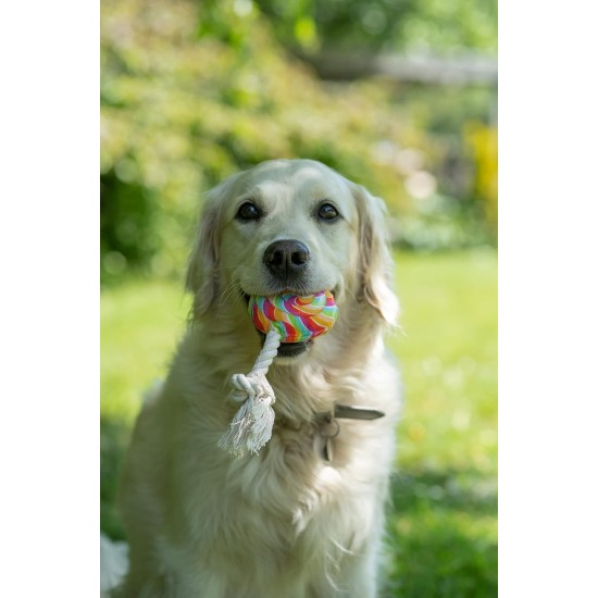 Petface Retro 3D Glasses Plush Dog Toy Petface Retro 3D Glasses Plush Dog Toy