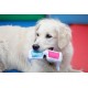 Petface Retro 3D Glasses Plush Dog Toy Petface Retro 3D Glasses Plush Dog Toy