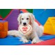 Petface Retro 3D Glasses Plush Dog Toy Petface Retro 3D Glasses Plush Dog Toy