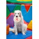 Petface Retro 3D Glasses Plush Dog Toy Petface Retro 3D Glasses Plush Dog Toy